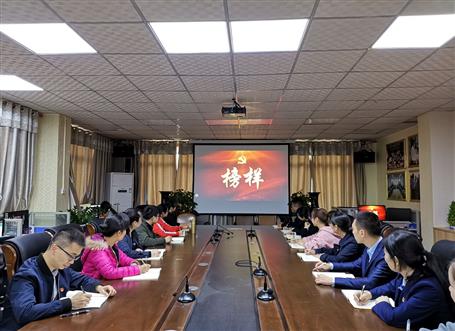 向榜樣看齊，做合格黨員