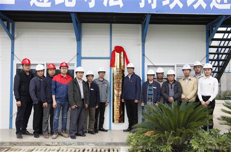 柳東新區(qū)竹爾屯棚戶區(qū)改造工程項目部黨支部成立