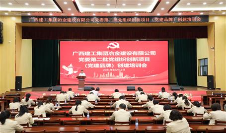 公司黨委召開(kāi)第二批黨組織創(chuàng)新項(xiàng)目（黨建品牌）創(chuàng)建培訓(xùn)會(huì)