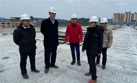 何勇到三江項目調(diào)研指導(dǎo)工作